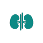 Icons-gs_renal Impairment